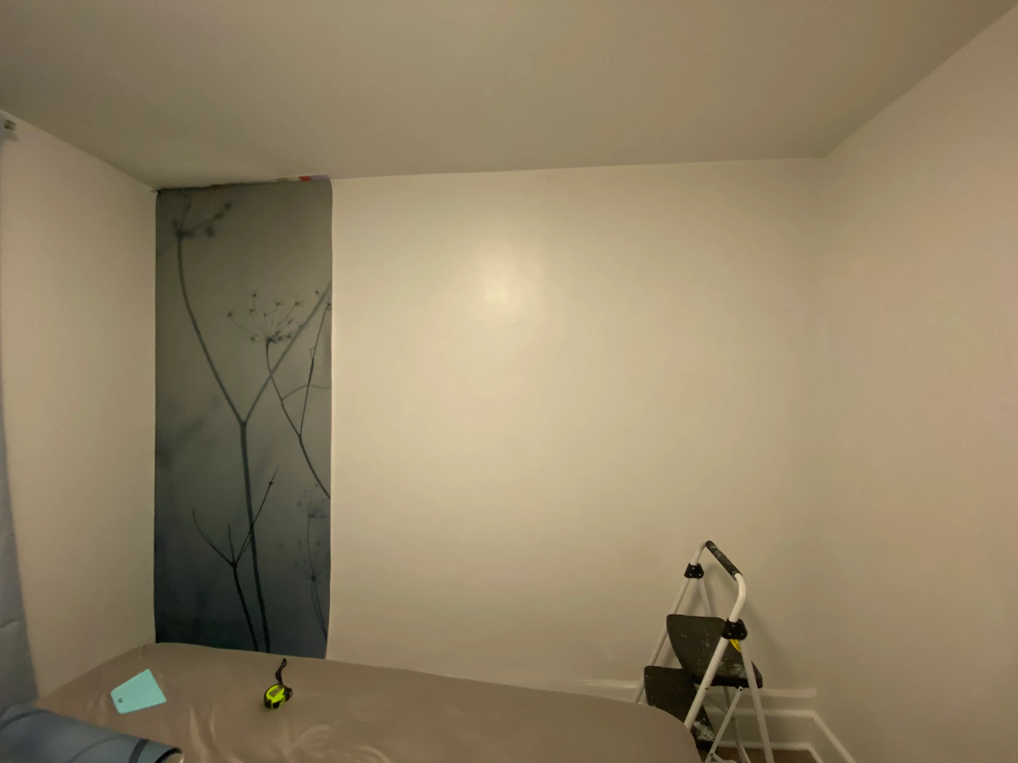 bare bedroom wall in Manhattan, NY before the meadow wall mural